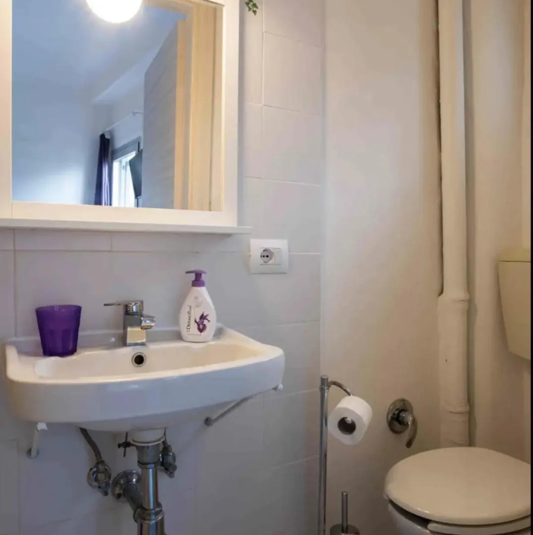 Guesthouse La Viola Florence